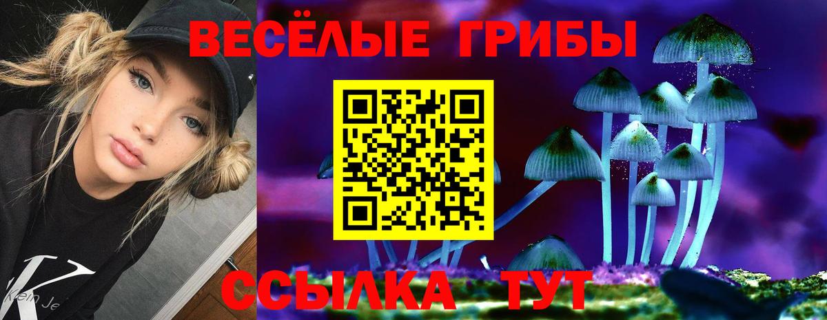 Новоалександровск  Псилоцибиновые грибы мухоморы  Вход с VPN 