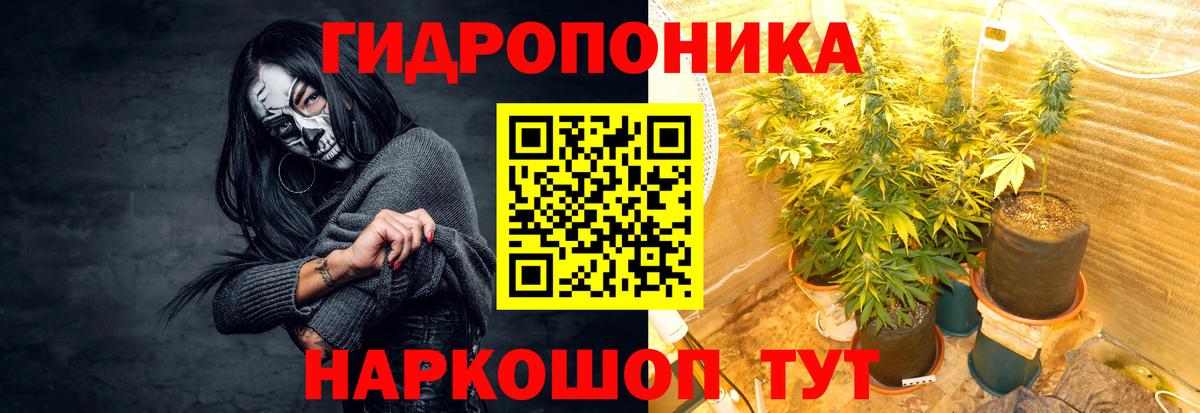 Конопля план Новоалександровск